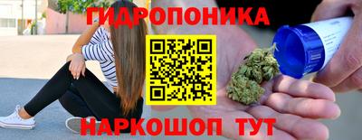 амф Шебекино