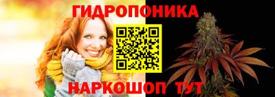 амф Шебекино