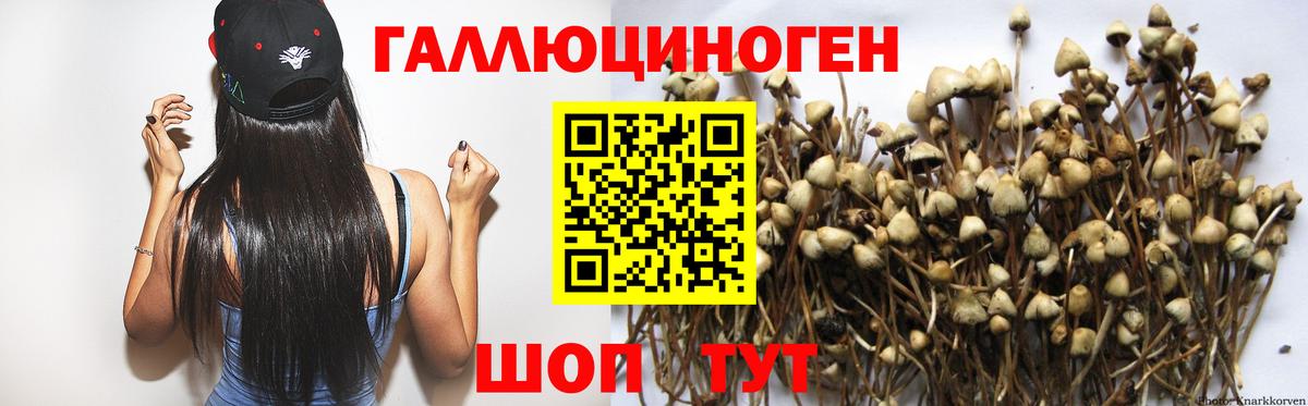 купить закладку  Галлюциногенные грибы мухоморы  Вход с VPN  Псилоцибиновые грибы Magic Shrooms  Лосино-Петровский 